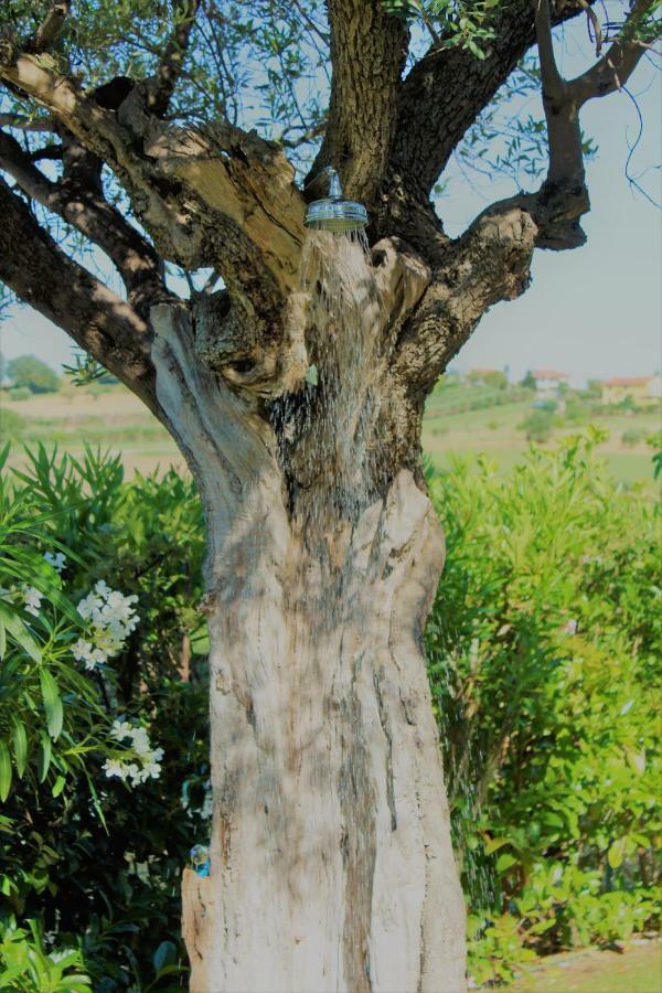Antigua B&B ปอร์โต โปเตนซา ปีเชนา ภายนอก รูปภาพ